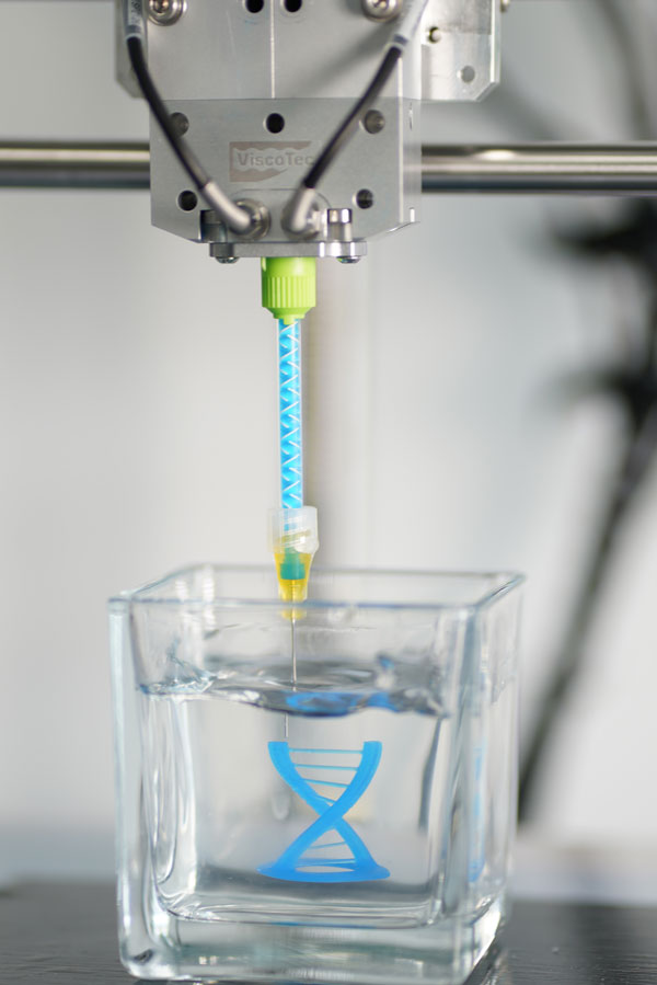 Figure 2 : Structure d'ADN en silicone - fabriquée comme un composant imprimé en 3D dans de l’hydrogel