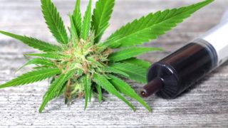 Hochviskose Cannbinoide in Spritzen abgefüllt mit ViscoTec Abfüllpumpen